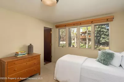 400 W Hopkins Avenue #5, Aspen, CO 81611 - Photo 16
