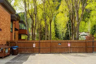 400 W Hopkins Ave, Aspen, CO 81611 - Photo 42
