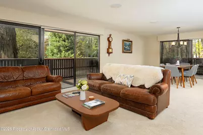 400 W Hopkins Avenue #5, Aspen, CO 81611 - Photo 4