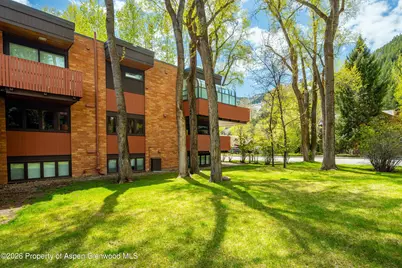 400 W Hopkins Avenue #5, Aspen, CO 81611 - Photo 40