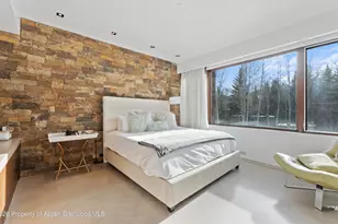 1564 Silver King Dr, Aspen, CO 81611 - Photo 18