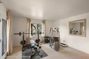 258 Caballo St, Carbondale, CO 81623 - Photo 30