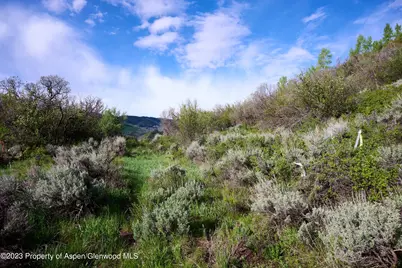 51 Shield O Road, Snowmass, CO 81654 - Photo 10