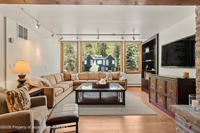 926 Waters Avenue #203, Aspen, CO 81611 - Photo 4