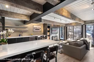 1039 E Cooper Ave, Aspen, CO 81611 - Photo 8