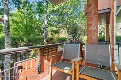 706 E Hyman Avenue, Aspen, CO 81611 - Photo 26