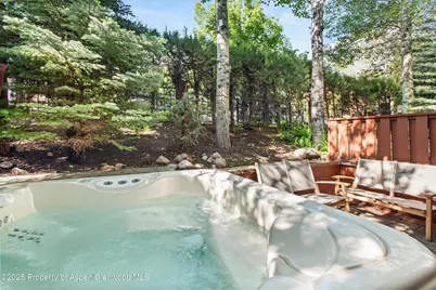 706 E Hyman Avenue, Aspen, CO 81611 - Photo 36