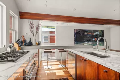 706 E Hyman Avenue, Aspen, CO 81611 - Photo 18