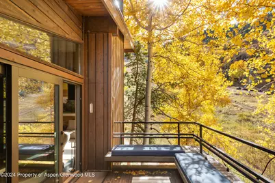 800 S Monarch Street #Unit 9, Aspen, CO 81611 - Photo 8