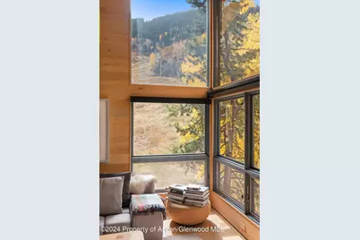 800 S Monarch Street #Unit 9, Aspen, CO 81611 - Photo 4