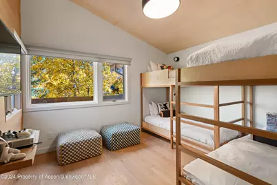 800 S Monarch Street #Unit 9, Aspen, CO 81611 - Photo 20