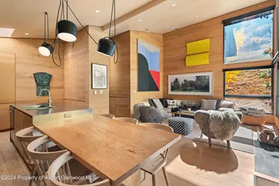 800 S Monarch Street #Unit 9, Aspen, CO 81611 - Photo 6