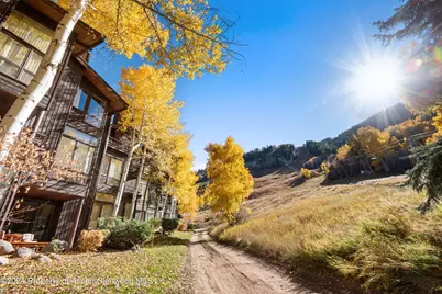 800 S Monarch Street #Unit 9, Aspen, CO 81611 - Photo 24