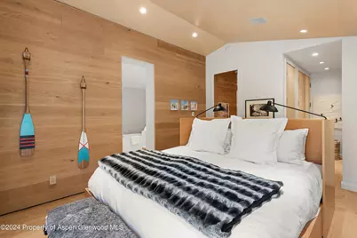 800 S Monarch Street #Unit 9, Aspen, CO 81611 - Photo 16