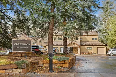 625 S West End Street #Unit 12, Aspen, CO 81611 - Photo 16