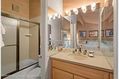 625 S West End Street #Unit 12, Aspen, CO 81611 - Photo 18