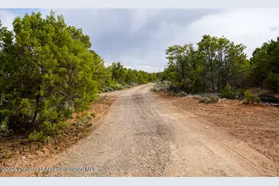 61020 Tres Coyotes Trail, Montrose, CO 81403 - Photo 6