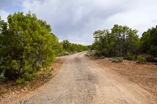61020 Tres Coyotes Trail, Montrose, CO 81403 - Photo 6