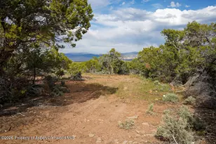 61020 Tres Coyotes Trail, Montrose, CO 81403 - Photo 16