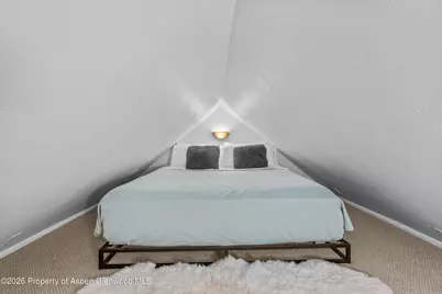735 W Bleeker Street, Aspen, CO 81611 - Photo 20
