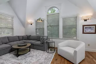 334 W Hallam St, Aspen, CO 81611 - Photo 4