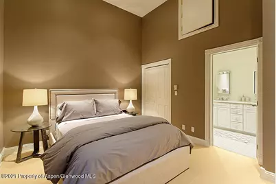 334 W Hallam Street, Aspen, CO 81611 - Photo 22