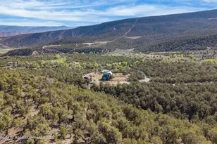 1665 County Rd 325, Rifle, CO 81650 - Photo 42