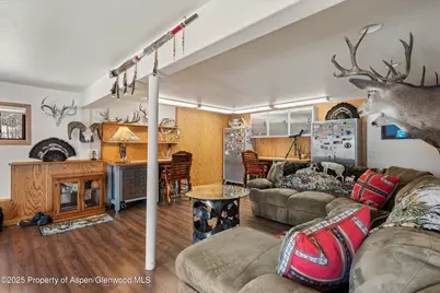 238 Hawk Lane, Basalt, CO 81621 - Photo 36