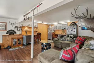 238 Hawk Ln, Basalt, CO 81621 - Photo 36
