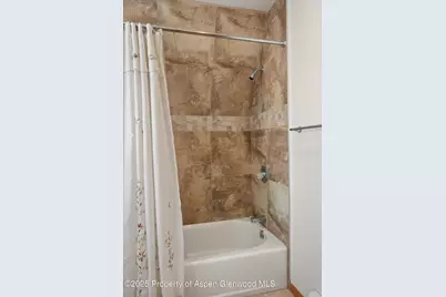 238 Hawk Lane, Basalt, CO 81621 - Photo 28