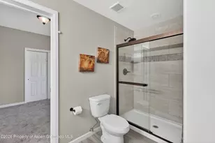 233 Roan Ct, Silt, CO 81652 - Photo 26