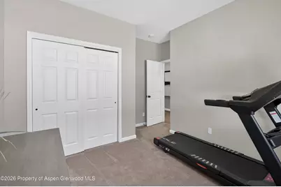 233 Roan Court, Silt, CO 81652 - Photo 18
