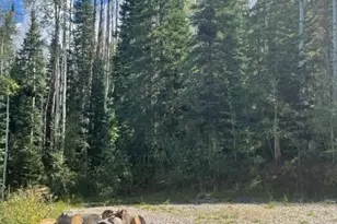 0 East Divide Creek Rd, Silt, CO 81652 - Photo 16