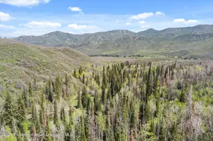 0 East Divide Creek Rd, Silt, CO 81652 - Photo 42