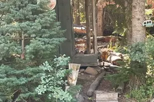 0 East Divide Creek Rd, Silt, CO 81652 - Photo 20