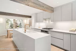 814 W Bleeker St, Aspen, CO 81611 - Photo 10