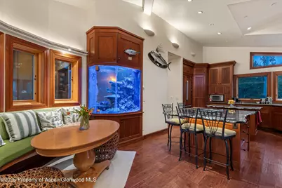 335 Hall Drive, Aspen, CO 81611 - Photo 16