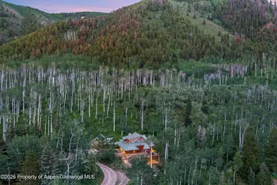 335 Hall Drive, Aspen, CO 81611 - Photo 8