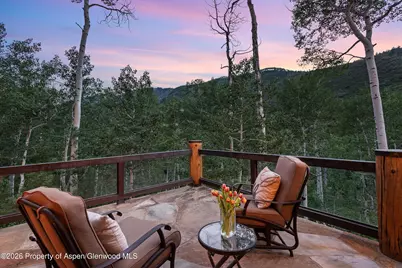 335 Hall Drive, Aspen, CO 81611 - Photo 18