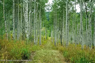 29830 Co Rd 8, Yampa, CO 80483 - Photo 62