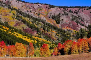 294 Ruedi Creek Rd, Basalt, CO 81621 - Photo 30