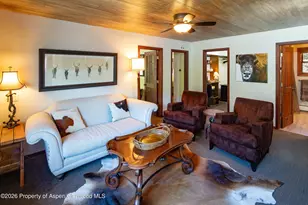 294 Ruedi Creek Rd, Basalt, CO 81621 - Photo 14