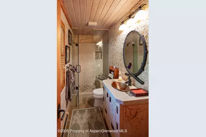 294 Ruedi Creek Road, Basalt, CO 81621 - Photo 8