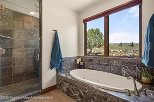 1155 Elk Springs Dr, Glenwood Springs, CO 81601 - Photo 22