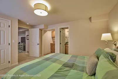 38 Ferguson Drive, Carbondale, CO 81623 - Photo 26