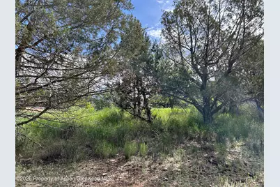 850 Greenway Drive, Glenwood Springs, CO 81601 - Photo 14