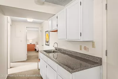 1275 Snowbunny Lane #2, Aspen, CO 81611 - Photo 26