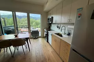 22860 Two Rivers Rd, Basalt, CO 81621 - Photo 6