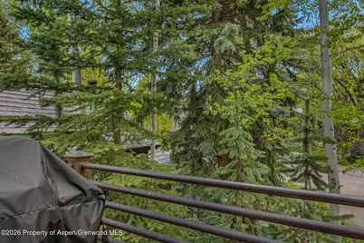 1354 Sierra Vista Drive, Aspen, CO 81611 - Photo 10