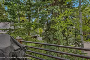 1354 Sierra Vista Dr, Aspen, CO 81611 - Photo 10